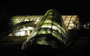 Museum Item Image